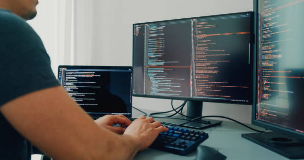 Web Development Team